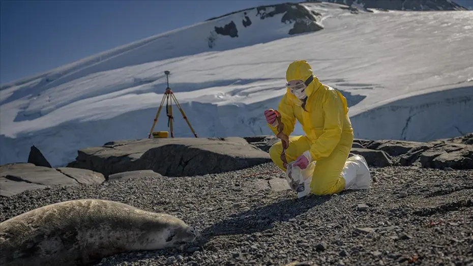 turk-bilim-insanlari-antarktika-daki-arastirmalariyla-saglik-ve-tarima-isik-tutuyor-20260227-233124