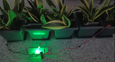 her-sey-cocugun-sorusuyla-basladi-bitkilerden-uretildi-bir-odaya-yetiyor-20260420-223136