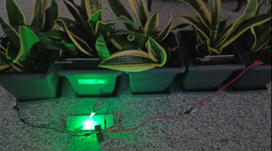 her-sey-cocugun-sorusuyla-basladi-bitkilerden-uretildi-bir-odaya-yetiyor-20260420-223136