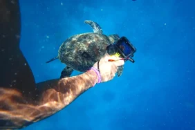 gopro-satiliyor-cinlilerle-mucadele-edemedi-20260528-223148