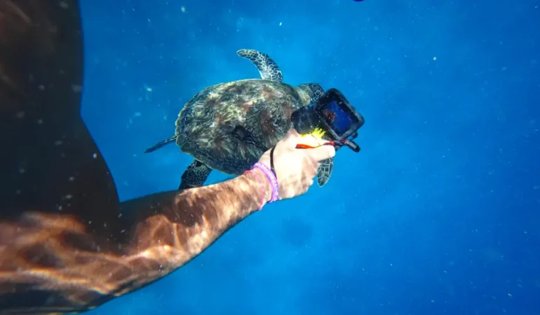 GoPro satılıyor: Çinli rakipler pazar payı kazandı